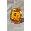 Image 2 : SOUTHERN ASIAN INSECT SAMPLE ORNAMENT
