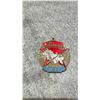 Image 1 : CHINESE MAO ERA CIVIL DEFENSE BADGE