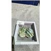 Image 1 : JAPANESE PAIR MOTHER OF PEARL EARRINGS