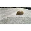 Image 3 : CRUDE MOTTLED JADE STONE ORNAMENT APPROX 2" LONG