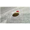 Image 2 : RED CORAL FLOWER RING