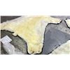 Image 8 : POLAR BEAR RUG WITH PAPERS APPROXIMATELY 89 INCHES FROM TAIL TO NOSE