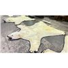 Image 1 : POLAR BEAR RUG WITH PAPERS APPROXIMATELY 105 INCHES FROM TAILS TO THE NOSE
