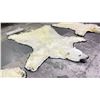 Image 2 : POLAR BEAR RUG WITH PAPERS APPROXIMATELY 105 INCHES FROM TAILS TO THE NOSE