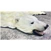 Image 3 : POLAR BEAR RUG WITH PAPERS APPROXIMATELY 105 INCHES FROM TAILS TO THE NOSE