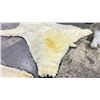 Image 6 : POLAR BEAR RUG WITH PAPERS APPROXIMATELY 105 INCHES FROM TAILS TO THE NOSE