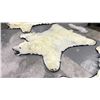 Image 1 : POLAR BEAR RUG WITH PAPERS APPROXIMATELY 83 INCHES FROM TAIL TO NOSE
