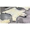 Image 2 : POLAR BEAR RUG WITH PAPERS APPROXIMATELY 83 INCHES FROM TAIL TO NOSE
