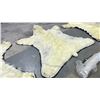 Image 5 : POLAR BEAR RUG WITH PAPERS APPROXIMATELY 83 INCHES FROM TAIL TO NOSE