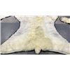 Image 6 : POLAR BEAR RUG WITH PAPERS APPROXIMATELY 83 INCHES FROM TAIL TO NOSE