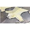 Image 1 : POLAR BEAR RUG WITH PAPERS APPROXIMATELY 83 INCHES FROM TAIL TO NOSE
