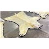 Image 2 : POLAR BEAR RUG WITH PAPERS APPROXIMATELY 83 INCHES FROM TAIL TO NOSE