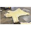 Image 1 : POLAR BEAR RUG WITH PAPERS APPROXIMATELY 78 INCHES FROM TAIL TO NOSE