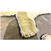 Image 5 : POLAR BEAR RUG WITH PAPERS APPROXIMATELY 78 INCHES FROM TAIL TO NOSE