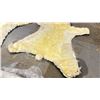 Image 6 : POLAR BEAR RUG WITH PAPERS APPROXIMATELY 78 INCHES FROM TAIL TO NOSE