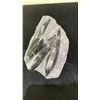 Image 3 : ORTHOCERAS FOSSIL SPECIMEN APPROX 7" RETAIL $1100