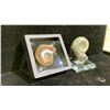 Image 2 : ORTHOCERAS CEPHALOPOD FOSSIL RETAIL $380, AND AMMONITE FOSSIL RETAIL $180