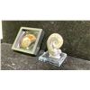 Image 3 : ORTHOCERAS CEPHALOPOD FOSSIL RETAIL $380, AND AMMONITE FOSSIL RETAIL $180