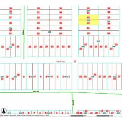 MERRILL TOWNSHIP 06-03-186-003