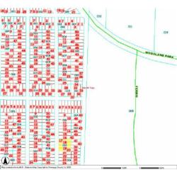 MERRILL TOWNSHIP 06-03-287-003