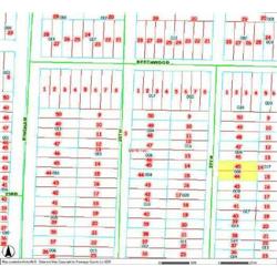 MERRILL TOWNSHIP 06-03-311-008