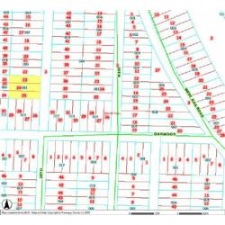MERRILL TOWNSHIP 06-03-312-011