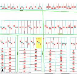 MERRILL TOWNSHIP 06-03-331-004