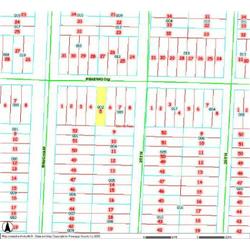 MERRILL TOWNSHIP 06-03-356-002