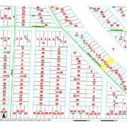 MERRILL TOWNSHIP 06-03-377-004