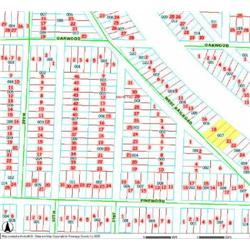 MERRILL TOWNSHIP 06-03-377-007