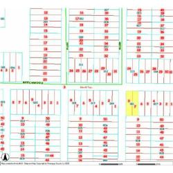 MERRILL TOWNSHIP 06-03-412-001