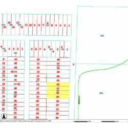 MERRILL TOWNSHIP 06-03-433-006