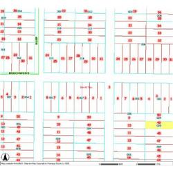 MERRILL TOWNSHIP 06-03-434-005
