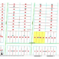 MERRILL TOWNSHIP 06-04-334-011