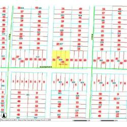 MERRILL TOWNSHIP 06-04-335-009