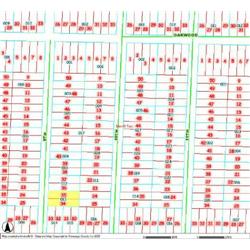 MERRILL TOWNSHIP 06-04-377-013