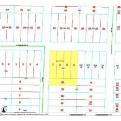 MERRILL TOWNSHIP 06-04-381-001