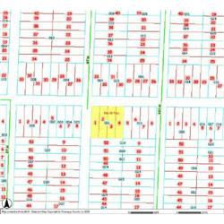 MERRILL TOWNSHIP 06-04-382-001