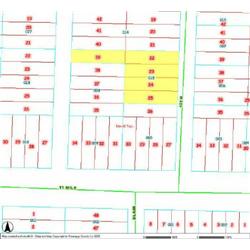 MERRILL TOWNSHIP 06-04-382-015