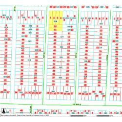 MERRILL TOWNSHIP 06-04-383-008
