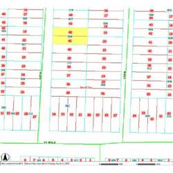 MERRILL TOWNSHIP 06-04-385-008