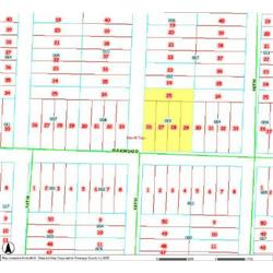 MERRILL TOWNSHIP 06-04-409-013