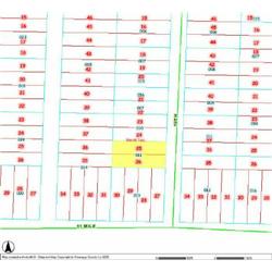 MERRILL TOWNSHIP 06-04-459-011