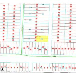 MERRILL TOWNSHIP 06-04-462-019