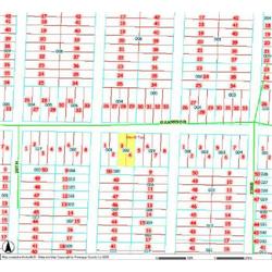 MERRILL TOWNSHIP 06-04-478-002
