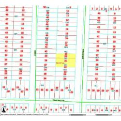 MERRILL TOWNSHIP 06-04-480-021, -025