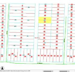 MERRILL TOWNSHIP 06-04-481-007