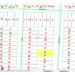 MERRILL TOWNSHIP 06-04-485-009