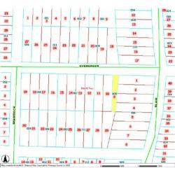 MERRILL TOWNSHIP 06-09-326-005