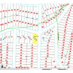 MERRILL TOWNSHIP 06-10-163-004